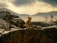 Mufasa, Barry Jenkins: 'Una delle decisioni migliori della mia vita'