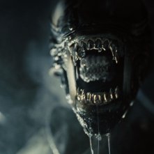 Alien: Romulus, un primo piano di uno degli alieni