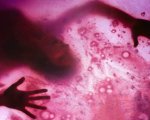 The Blob, il produttore sul remake: 'Onoreremo gli effetti pratici dell'originale'