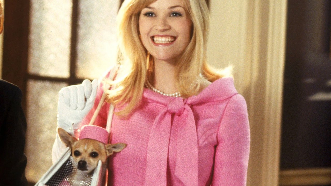 La rivincita delle bionde: Prime Video annuncia lo sviluppo di una serie ambientata nel mondo del film