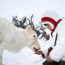 La ragazza delle renne: una foto del film