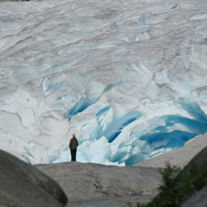 La canzone della terra: un'immagine tratta dal film