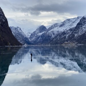 La canzone della terra: un'immagine