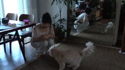 In Our Day - Trailer