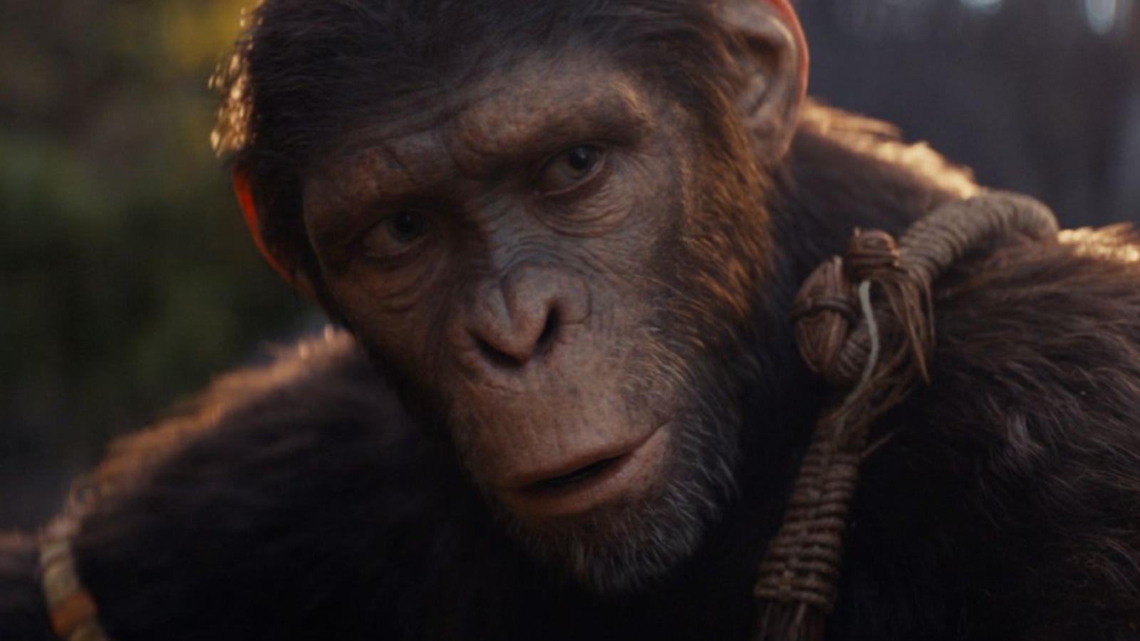 Il regno del pianeta delle scimmie: Owen Teague ha frequentato una 'scuola per scimmie' per interpretare Noa