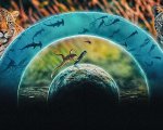 Un mondo di vita, la recensione: tutta la Terra è collegata e interconnessa