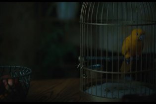 The Watchers - Trailer 2