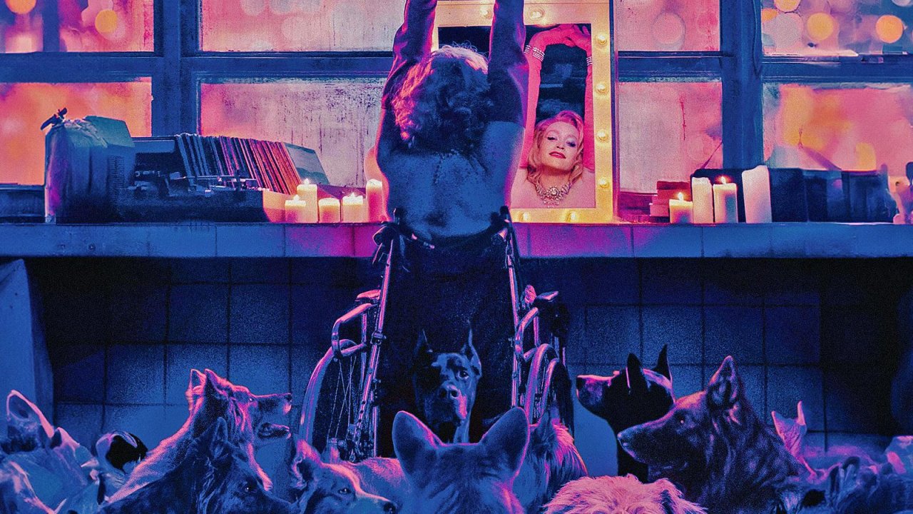 Dogman: l'edizione 4K UHD + Blu-ray del film di Luc Besson è in sconto su Amazon