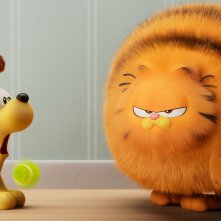 Garfield: Una missione gustosa - Garfield dopo il bagnetto e l'asciugatura