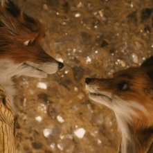 Un'immagine romantica del film Fantastic Mr. Fox