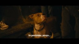Chien de la Casse - Trailer Sottotitolato