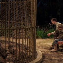 Il bambino che collezionava parole: una foto del film
