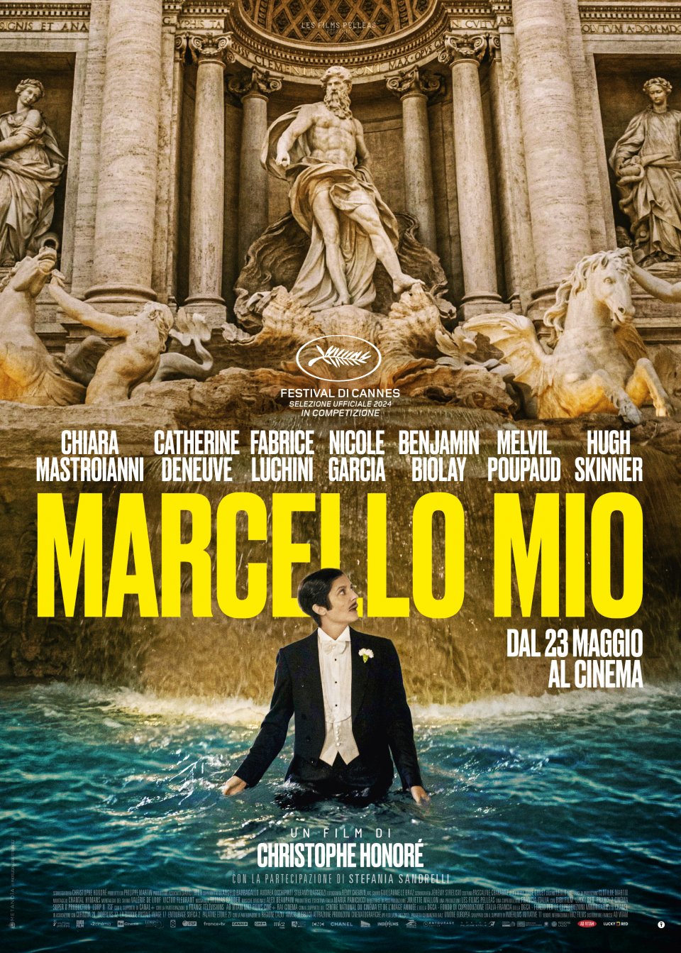 Marcello Mio 50X70 Web