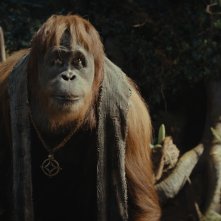 Il regno del pianeta delle scimmie: una sequenza del film