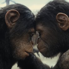 Il regno del pianeta delle scimmie: un momento del sequel