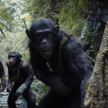 Il regno del pianeta delle scimmie: una fotografia