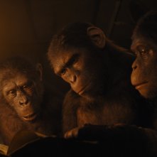 Il regno del pianeta delle scimmie: un'inquadratura del film
