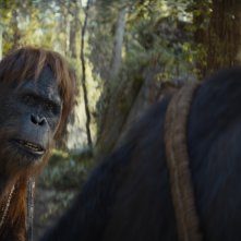 Il regno del pianeta delle scimmie: un frame del film