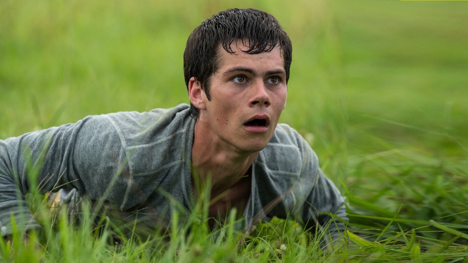 Maze Runner: Disney annuncia il reboot della saga distopica (ma non sarà un remake)