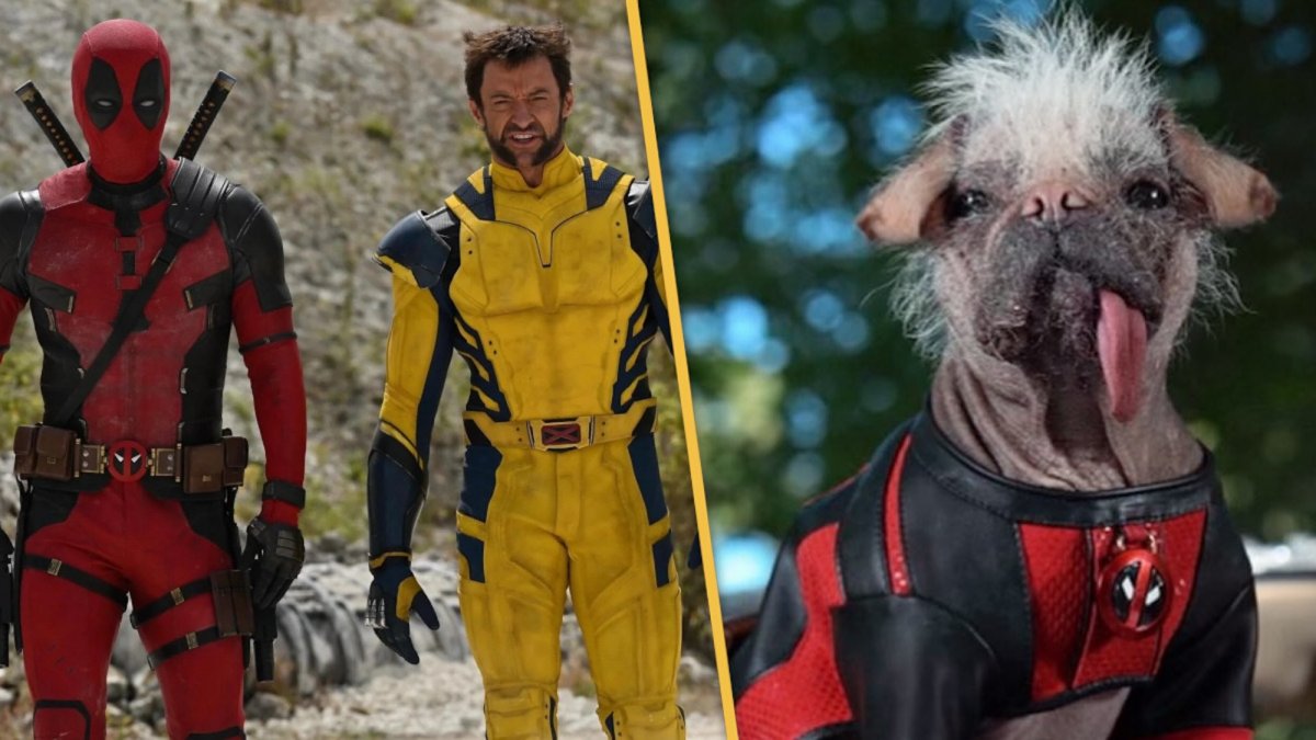 Di che razza è Dogpool il cane di Deadpool & Wolverine | una star dalla ...