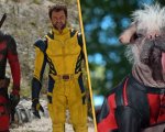 Deadpool & Wolverine, per Dogpool è stato scelto 'il cane più brutto del Regno Unito'