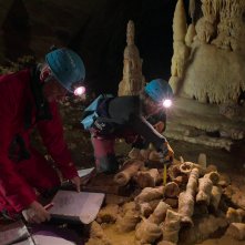 I segreti dei Neanderthal: un'immagine del film