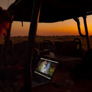 La vita dei leopardi: un'immagine