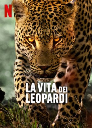 Locandina di La vita dei leopardi
