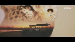 La vita dei leopardi - Trailer Sottotitolato