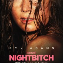 Locandina di Nightbitch