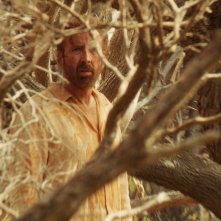 The Surfer: Nicolas Cage in una foto