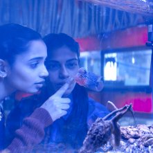 The Shameless: un frame del film