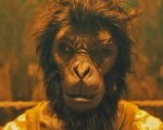 Monkey Man: aperti i preorder del film di Dev Patel in edizione 4K Ultra HD + Blu-Ray