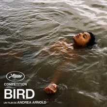 Locandina di Bird