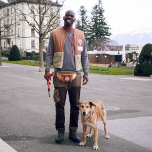 Dog on Trial: un'immagine del film