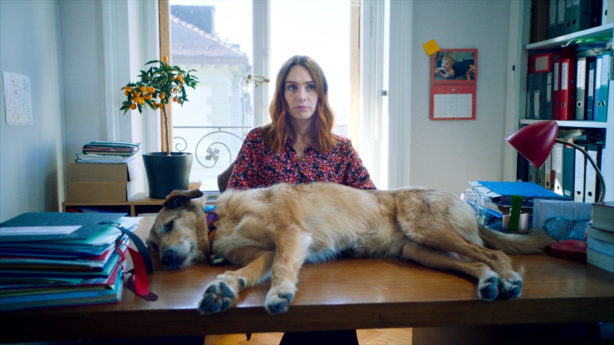 un cane a processo si ride e si riflette nel trailer in esclusiva del film di laetitia dosch da Movieplayer.it un cane a processo si ride e si riflette nel trailer in esclusiva del film di laetitia dosch