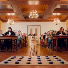Dog on Trial: una scena del film