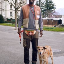 Locandina di Dog on Trial