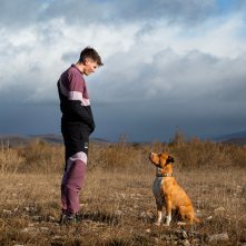 Chien de la casse: una foto