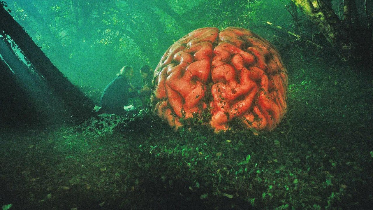 Il cervellone di Rumours