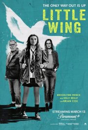 Locandina di Little Wing