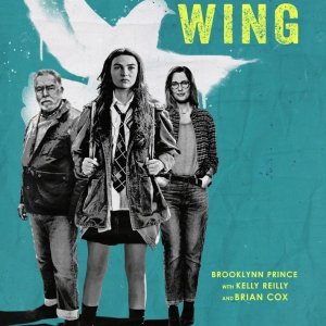 Locandina di Little Wing