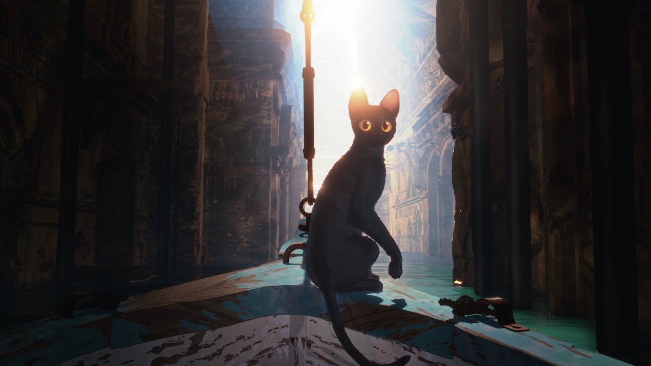 Il gattino protagonista del film Flow