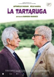 Locandina di La tartaruga