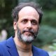 Luca Guadagnino abbandona la regia di The Shards, non dirigerà più la serie tratta da Bret Easton Ellis