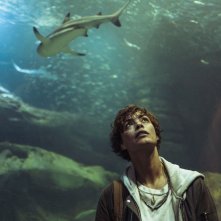 Under Paris: una scena del film