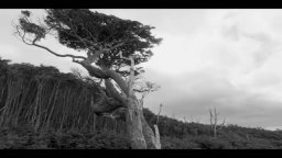 Viaggio al Polo Sud - Trailer Italiano