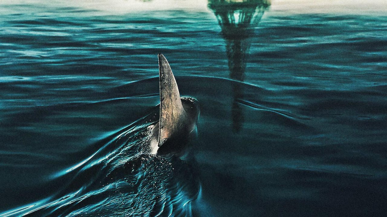 Un dettaglio dell'artwork del film