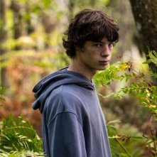 The Animal Kingdom: una scena del film