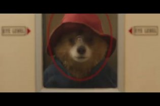 Paddington In Peru - Trailer